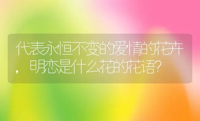 代表永恒不变的爱情的花卉,明恋是什么花的花语？ | 养殖科普