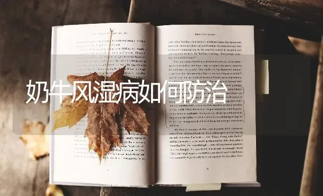 奶牛风湿病如何防治 | 养殖技术大全