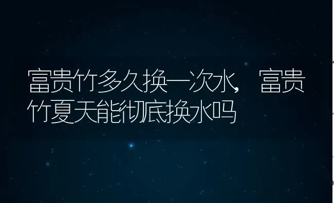 富贵竹多久换一次水,富贵竹夏天能彻底换水吗 | 养殖学堂