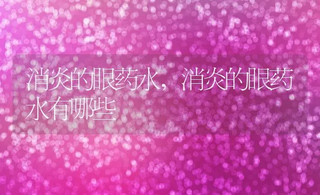 消炎的眼药水,消炎的眼药水有哪些 | 养殖科普