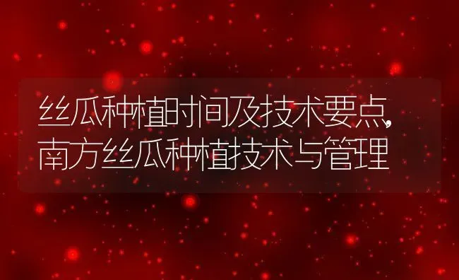 丝瓜种植时间及技术要点,南方丝瓜种植技术与管理 | 养殖学堂