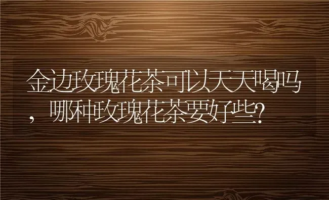 金边玫瑰花茶可以天天喝吗,哪种玫瑰花茶要好些？ | 养殖学堂