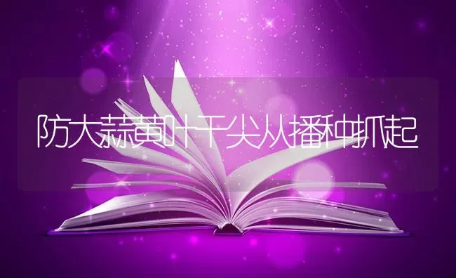 防大蒜黄叶干尖从播种抓起 | 养殖知识