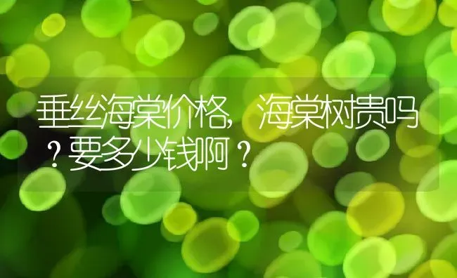 垂丝海棠价格,海棠树贵吗？要多少钱啊？ | 养殖科普