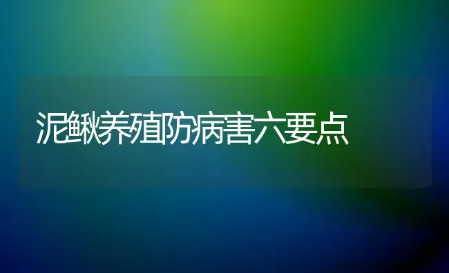 泥鳅养殖防病害六要点 | 养殖知识