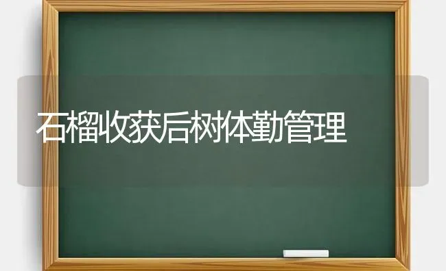 石榴收获后树体勤管理 | 养殖技术大全