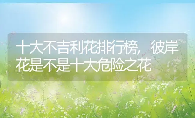 十大不吉利花排行榜,彼岸花是不是十大危险之花 | 养殖学堂