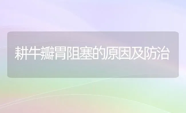 耕牛瓣胃阻塞的原因及防治 | 养殖技术大全