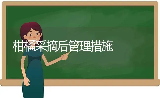 柑橘采摘后管理措施 | 养殖知识