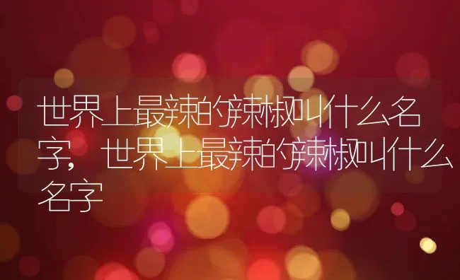 世界上最辣的辣椒叫什么名字,世界上最辣的辣椒叫什么名字 | 养殖科普