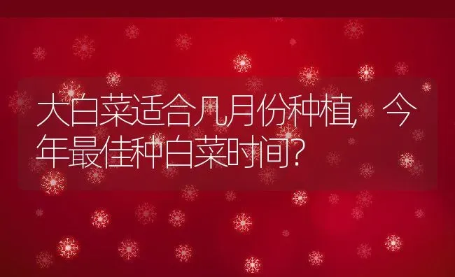 大白菜适合几月份种植,今年最佳种白菜时间？ | 养殖科普