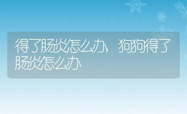 得了肠炎怎么办,狗狗得了肠炎怎么办 | 养殖科普