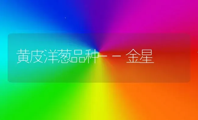 黄皮洋葱品种--金星 | 养殖知识