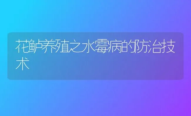 花鲈养殖之水霉病的防治技术 | 养殖知识