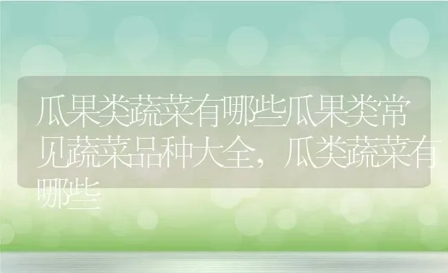 瓜果类蔬菜有哪些瓜果类常见蔬菜品种大全,瓜类蔬菜有哪些 | 养殖学堂