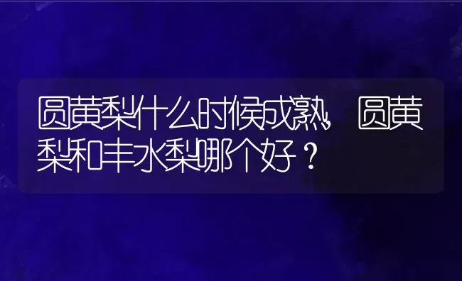 圆黄梨什么时候成熟,圆黄梨和丰水梨哪个好？ | 养殖科普