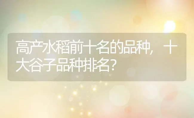高产水稻前十名的品种,十大谷子品种排名？ | 养殖科普