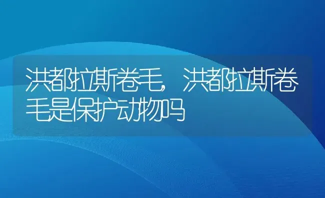 洪都拉斯卷毛,洪都拉斯卷毛是保护动物吗 | 养殖资料