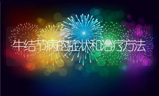 大天使月季的优缺点,日本月季主要有什么品种 | 养殖学堂