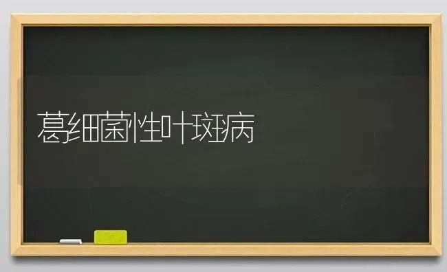 葛细菌性叶斑病 | 养殖技术大全