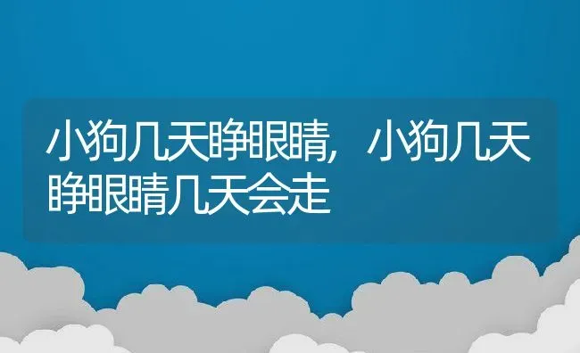 小狗几天睁眼睛,小狗几天睁眼睛几天会走 | 养殖资料