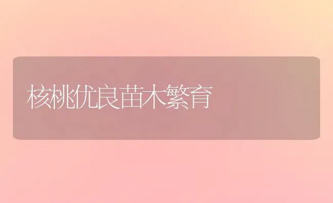 核桃优良苗木繁育 | 养殖知识