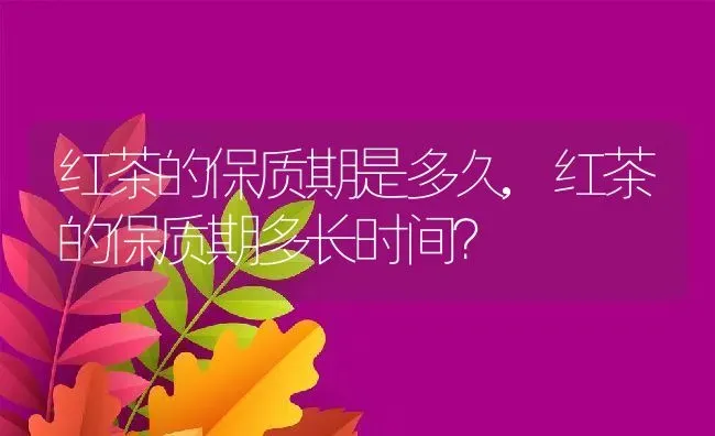 红茶的保质期是多久,红茶的保质期多长时间？ | 养殖科普