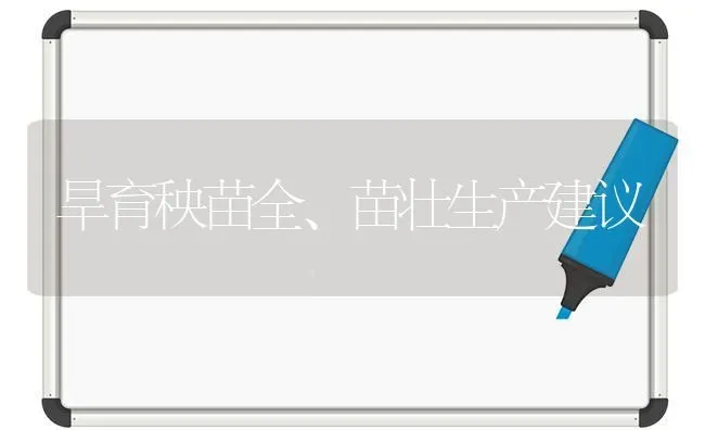 旱育秧苗全、苗壮生产建议 | 养殖知识