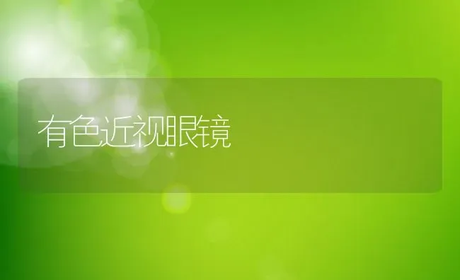有色近视眼镜 | 养殖科普