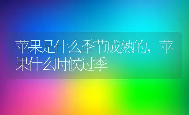 苹果是什么季节成熟的,苹果什么时候过季 | 养殖学堂