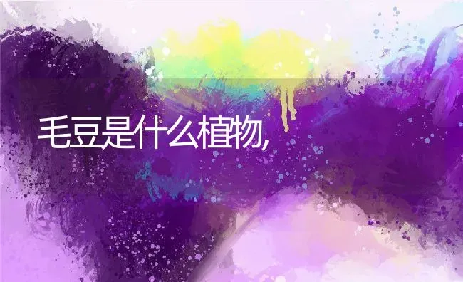 毛豆是什么植物, | 养殖学堂