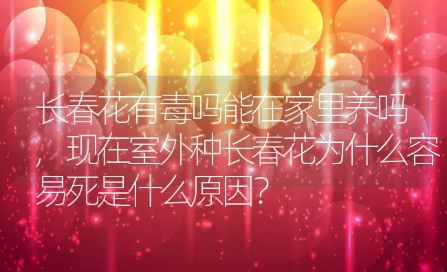 长春花有毒吗能在家里养吗,现在室外种长春花为什么容易死是什么原因？ | 养殖科普