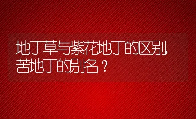 地丁草与紫花地丁的区别,苦地丁的别名？ | 养殖科普