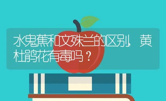 水鬼蕉和文殊兰的区别,黄杜鹃花有毒吗？ | 养殖科普