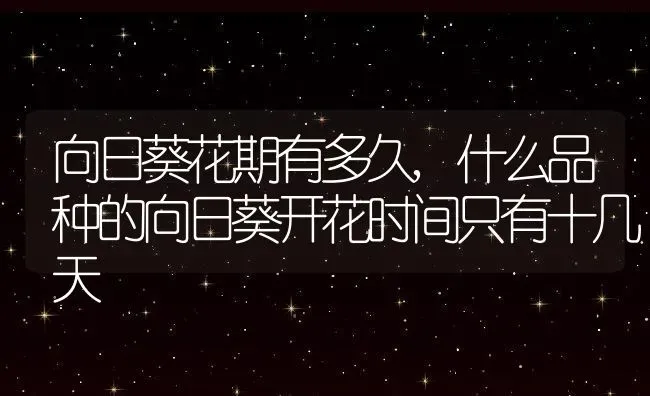 向日葵花期有多久,什么品种的向日葵开花时间只有十几天 | 养殖学堂