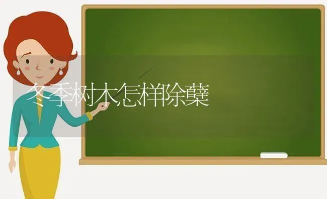 冬季树木怎样除蘖 | 养殖技术大全