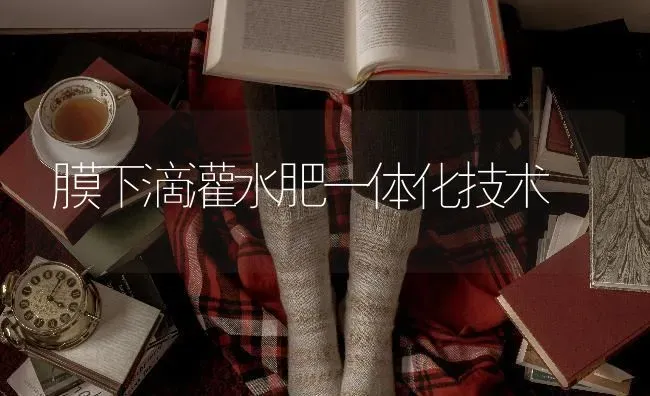 膜下滴灌水肥一体化技术 | 养殖技术大全