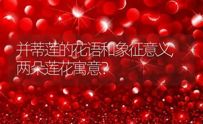 并蒂莲的花语和象征意义,两朵莲花寓意？ | 养殖科普