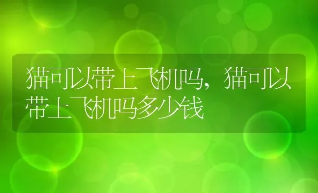 猫可以带上飞机吗,猫可以带上飞机吗多少钱 | 养殖资料