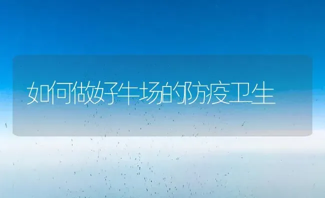 如何做好牛场的防疫卫生 | 养殖技术大全