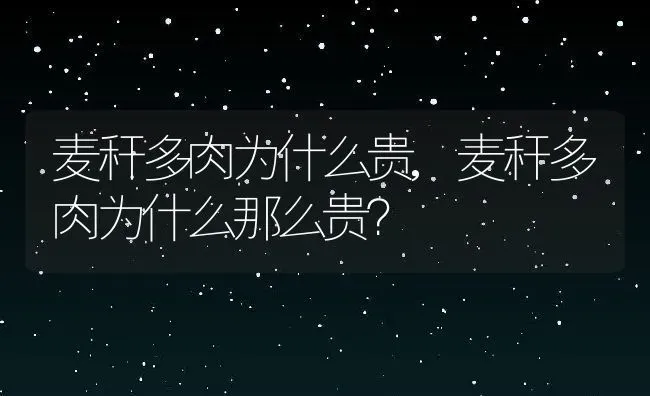 麦秆多肉为什么贵,麦秆多肉为什么那么贵？ | 养殖科普