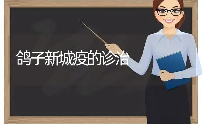 鸽子新城疫的诊治 | 养殖技术大全