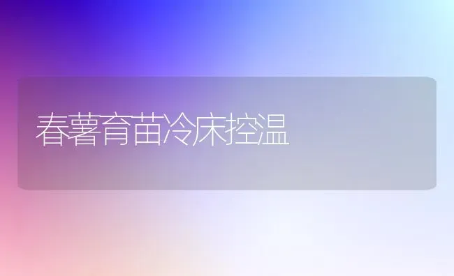 春薯育苗冷床控温 | 养殖技术大全