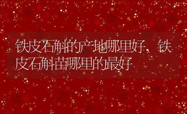 铁皮石斛的产地哪里好,铁皮石斛苗哪里的最好 | 养殖学堂