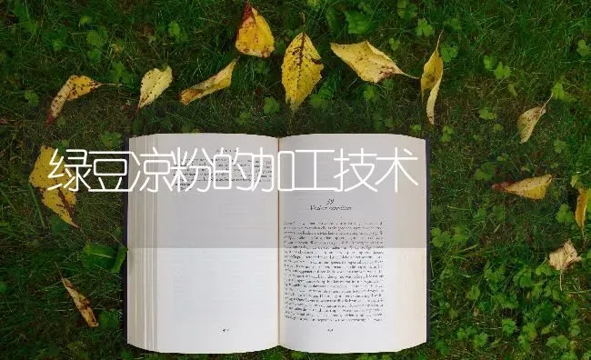 绿豆凉粉的加工技术 | 养殖技术大全
