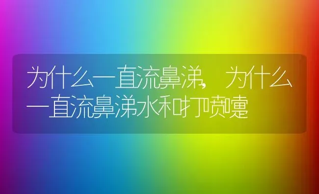 为什么一直流鼻涕,为什么一直流鼻涕水和打喷嚏 | 养殖资料