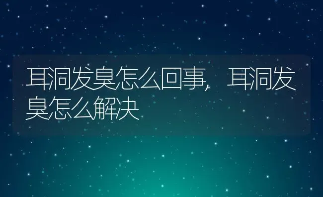 耳洞发臭怎么回事,耳洞发臭怎么解决 | 养殖科普