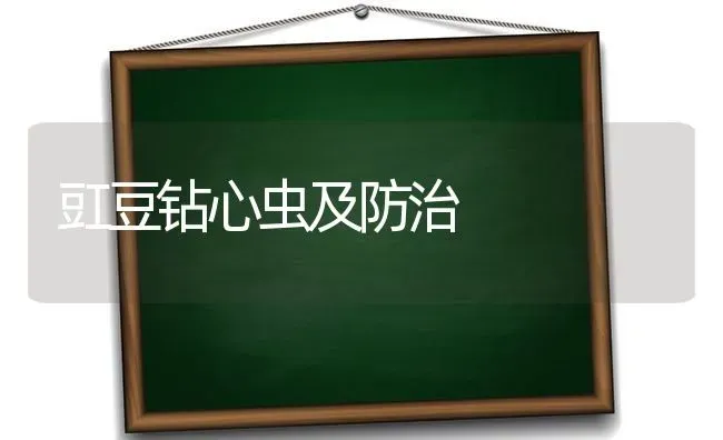 豇豆钻心虫及防治 | 养殖技术大全