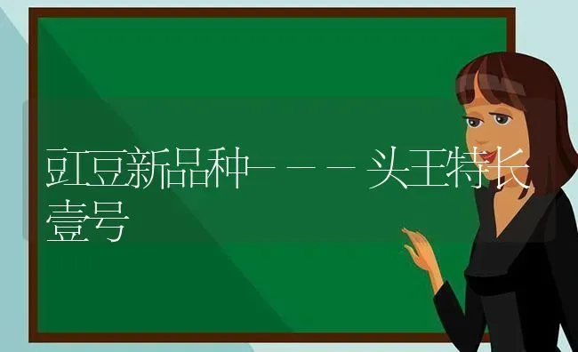 豇豆新品种---头王特长壹号 | 养殖技术大全