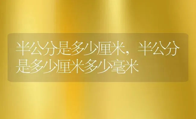 半公分是多少厘米,半公分是多少厘米多少毫米 | 养殖科普